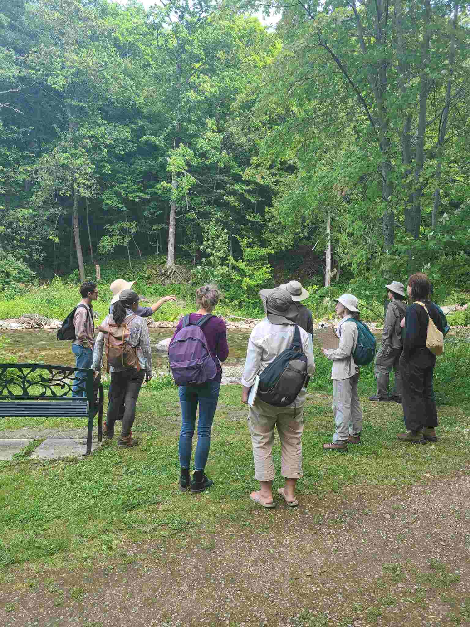 Kagawong river hike